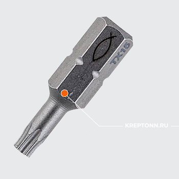 FPB T 20 PROFI Bit W 10 БИТЫ
