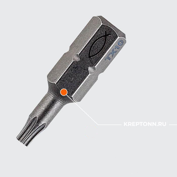 FPB T 10 PROFI Bit W 10 БИТЫ