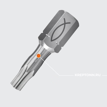 FPB TX 10 PROFI BIT W 10 БИТЫ