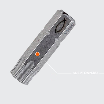 FPB T 40 PROFI Bit W 10 БИТЫ